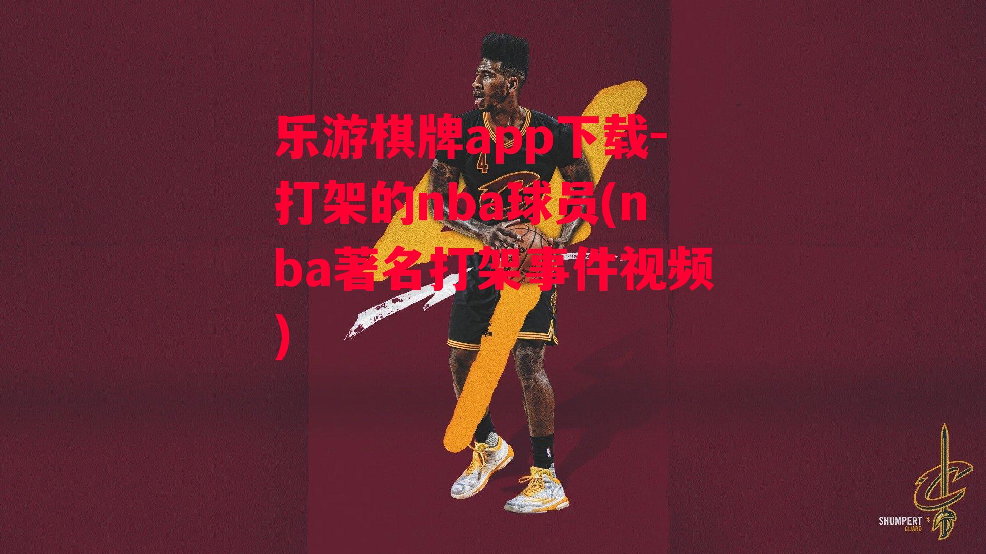 打架的nba球员(nba著名打架事件视频)